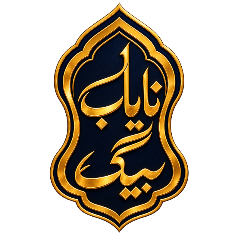 nayabbeig.com